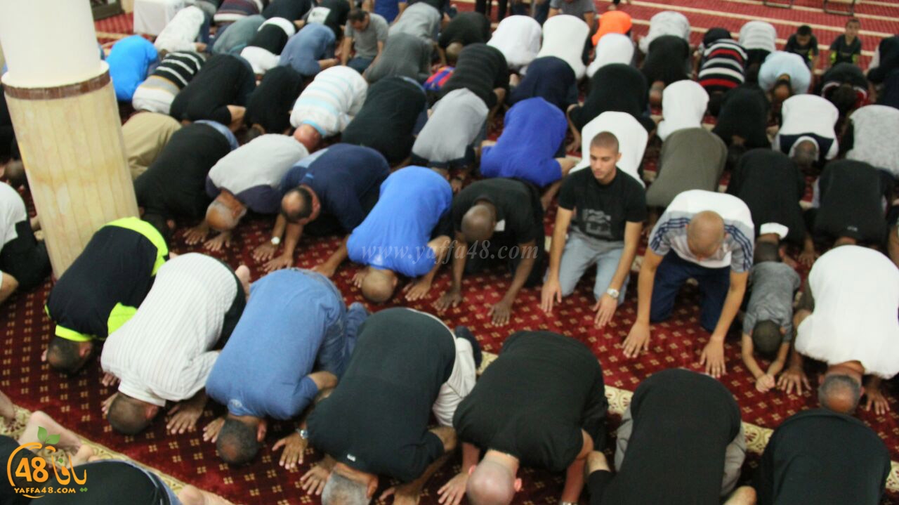 tarawe7 jamaki (8).jpg